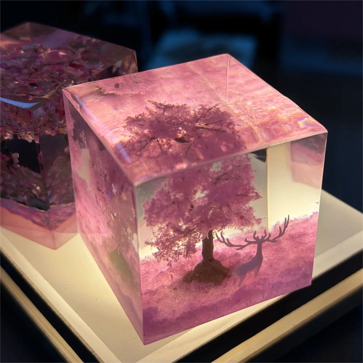 Sakura tree, deer, epoxy resin lamp （ Best Gift 🎁 ） shark resin lamp, resin lamp, resin night light, resin lamps, shark light, desk lamps amazon, best desk lamp, best desk light, side table lamps for bedroom, shark resin lamp, shark led light, coolest table lamps, Shark Lamp, epoxy resin lamp, epoxy lamp, Shark decor, Shark lamp US, Unique lamp designs, dolphin night light, driftwood epoxy lamp, diver epoxy lamp, epoxy lights